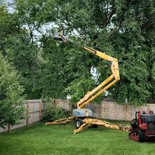 Best Tree Cabling and Bracing  in White Oak, TX