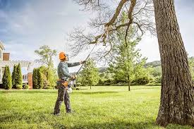 How Our Tree Care Process Works  in  White Oak, TX