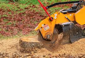 Lawn Renovation and Restoration in White Oak, TX