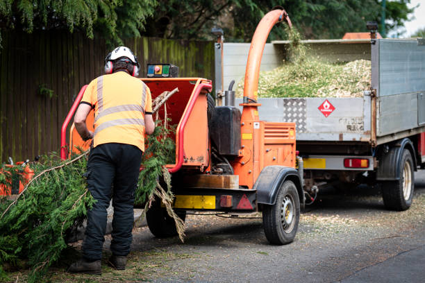 Best Lawn Renovation and Restoration  in White Oak, TX
