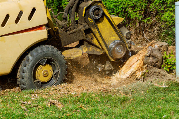 Lawn Drainage Solutions in White Oak, TX